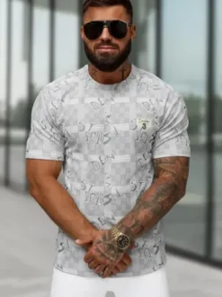T-shirt męski regular fit szary O/QQ1568^Ozonee Best